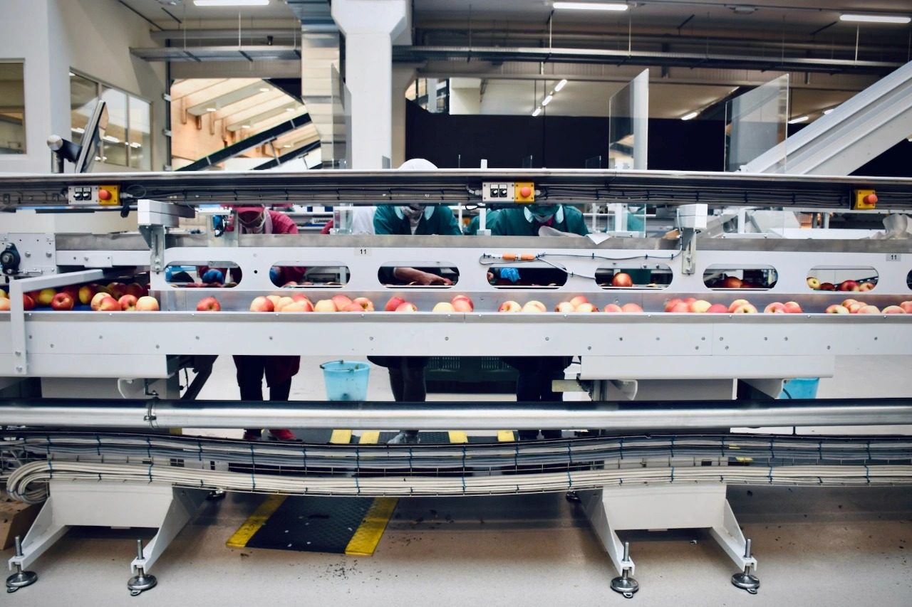 What Automation Looks Like for a Mid-Volume Food Brand